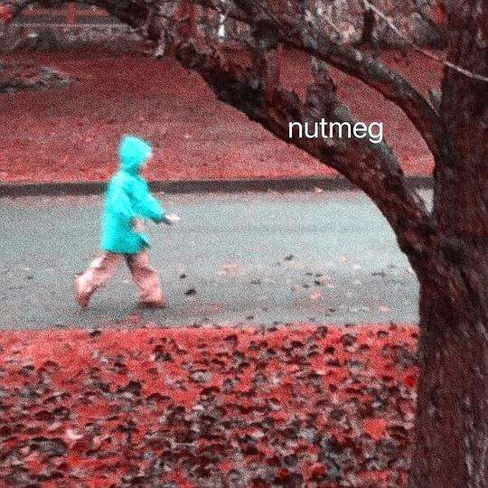 nutmeg（nutmeg是什么颜色）
