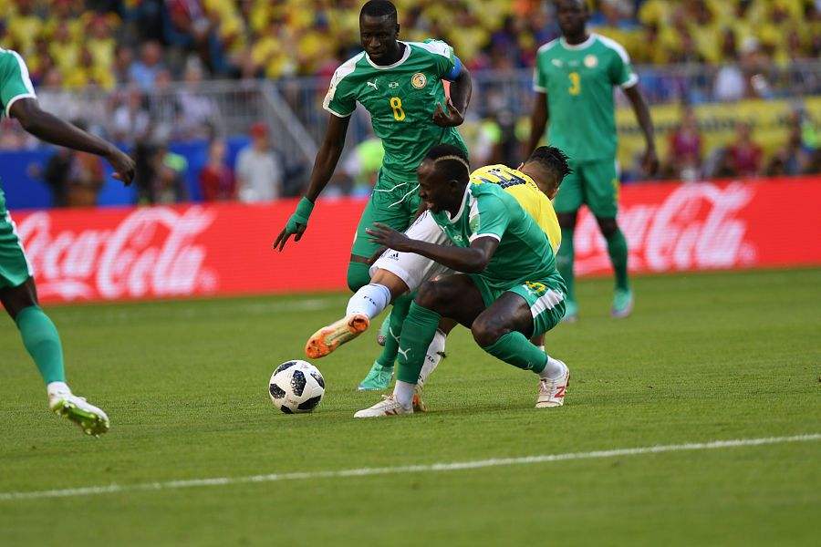 塞内加尔世界杯（塞内加尔世界杯预选赛）